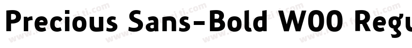 Precious Sans-Bold W00 Regular字体转换